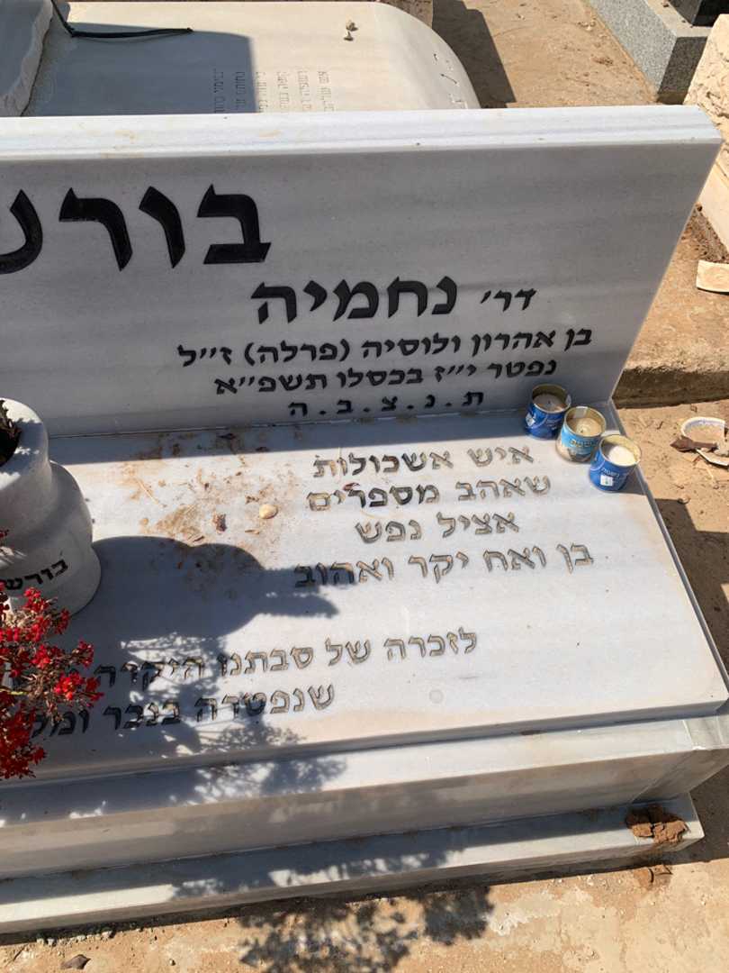 קברו של נחמיה "פרלה" בורשטיין. תמונה 4