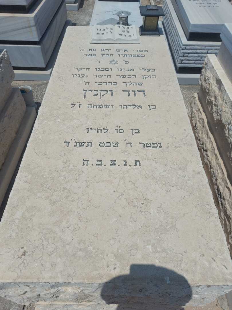 קברו של דוד וקנין