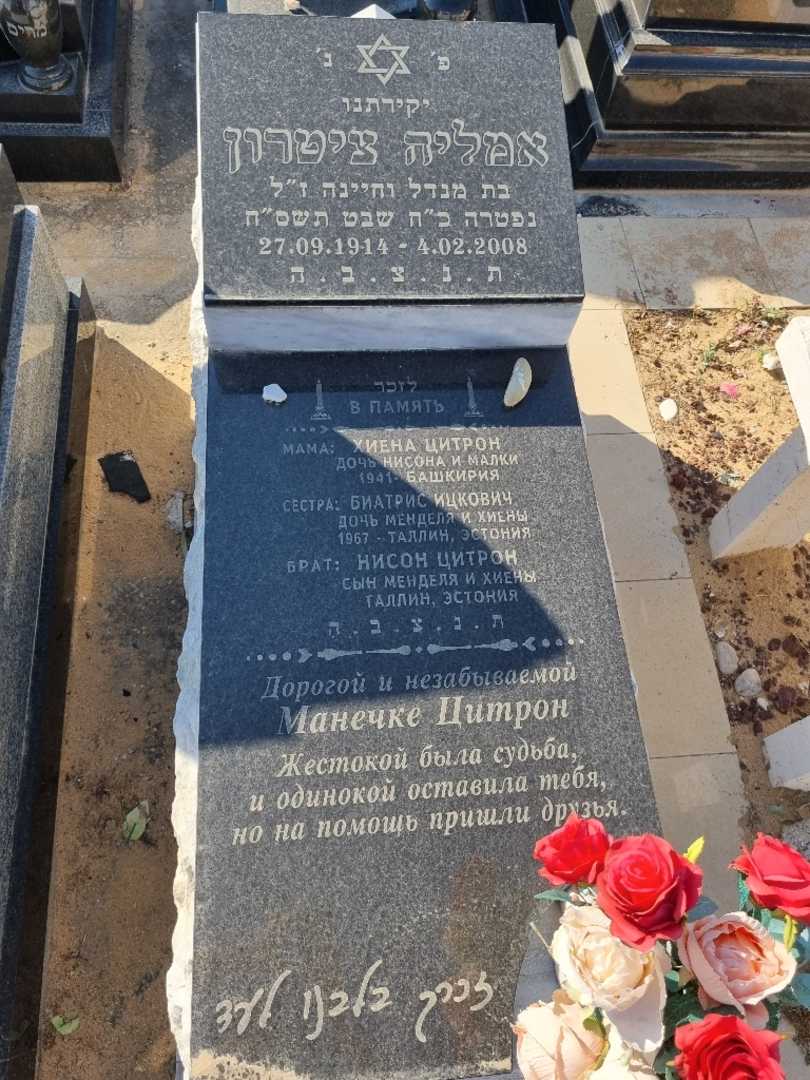 קברו של אמליה ציטרון. תמונה 2