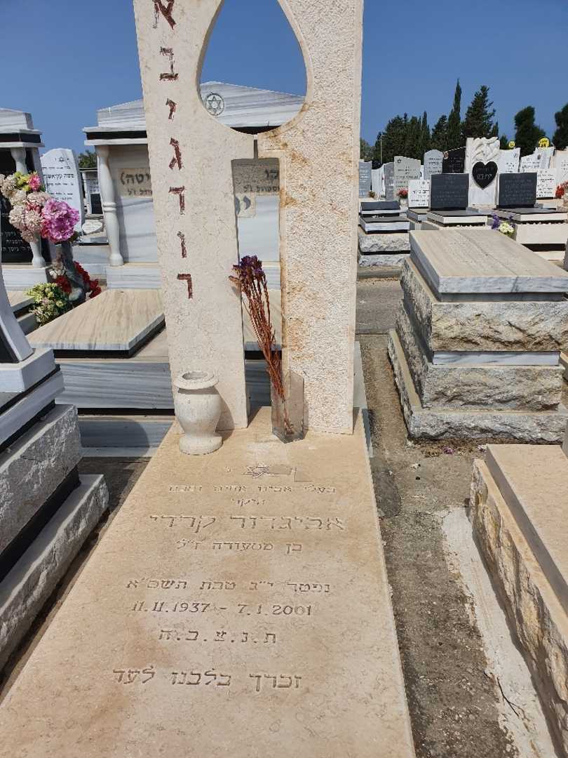 קברו של אביגדור קרדי. תמונה 1