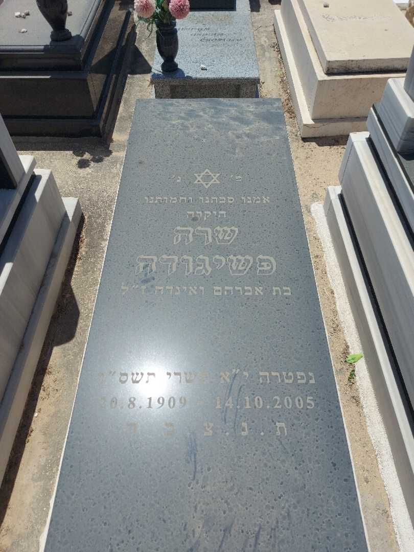 קברו של שרה פשיגודה