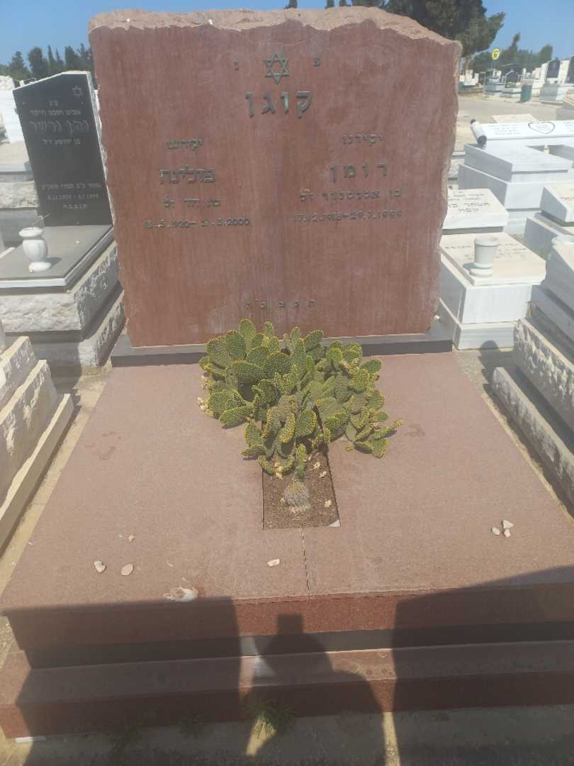 קברו של פולה קוגן. תמונה 3
