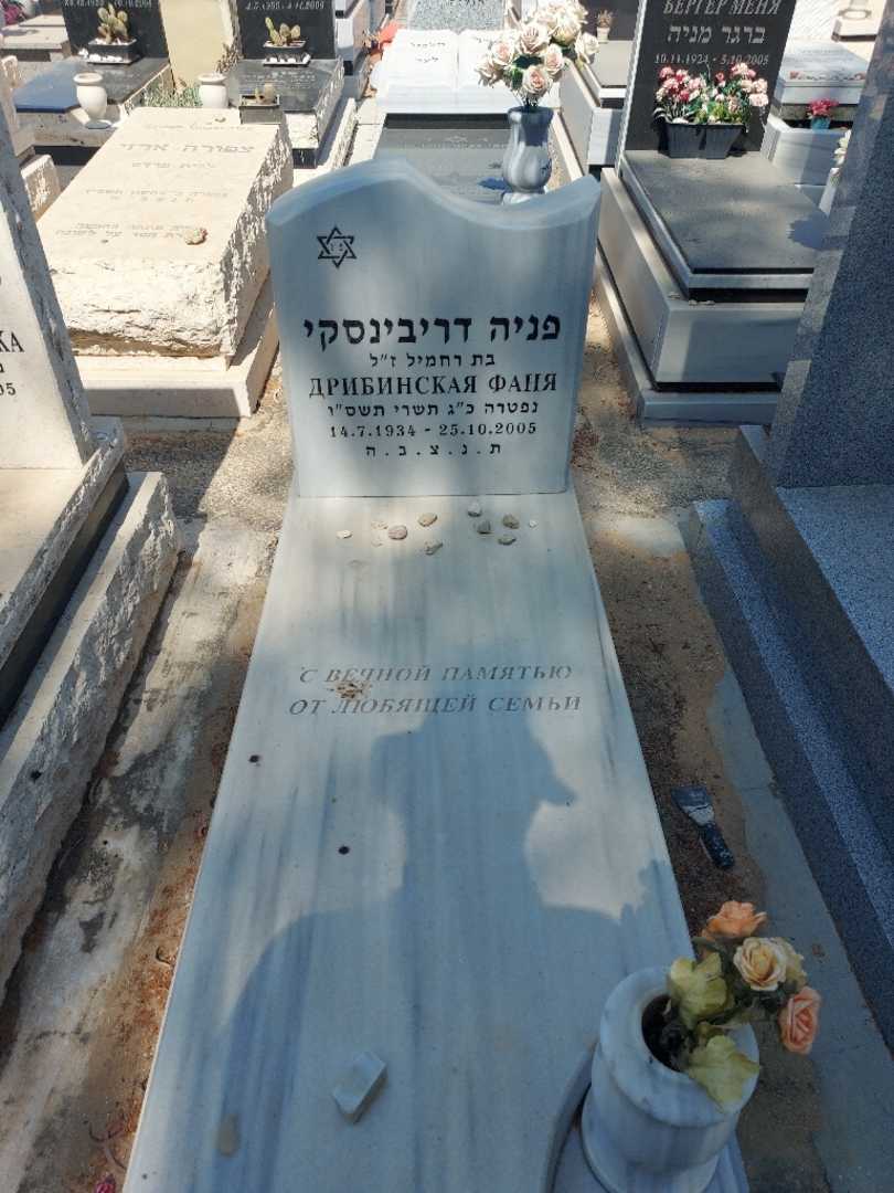 קברו של פניה דריבינסקי. תמונה 1