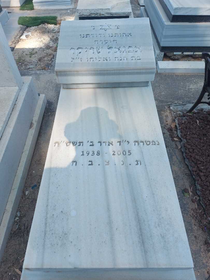 קברו של אבגאל שריקר. תמונה 1