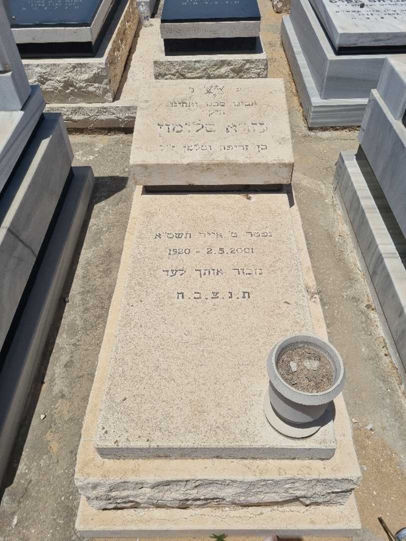 קברו של עזרא סלומון. תמונה 1