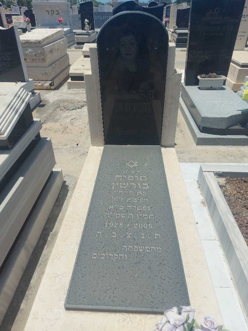 קברו של סופיה בורשץ'. תמונה 2