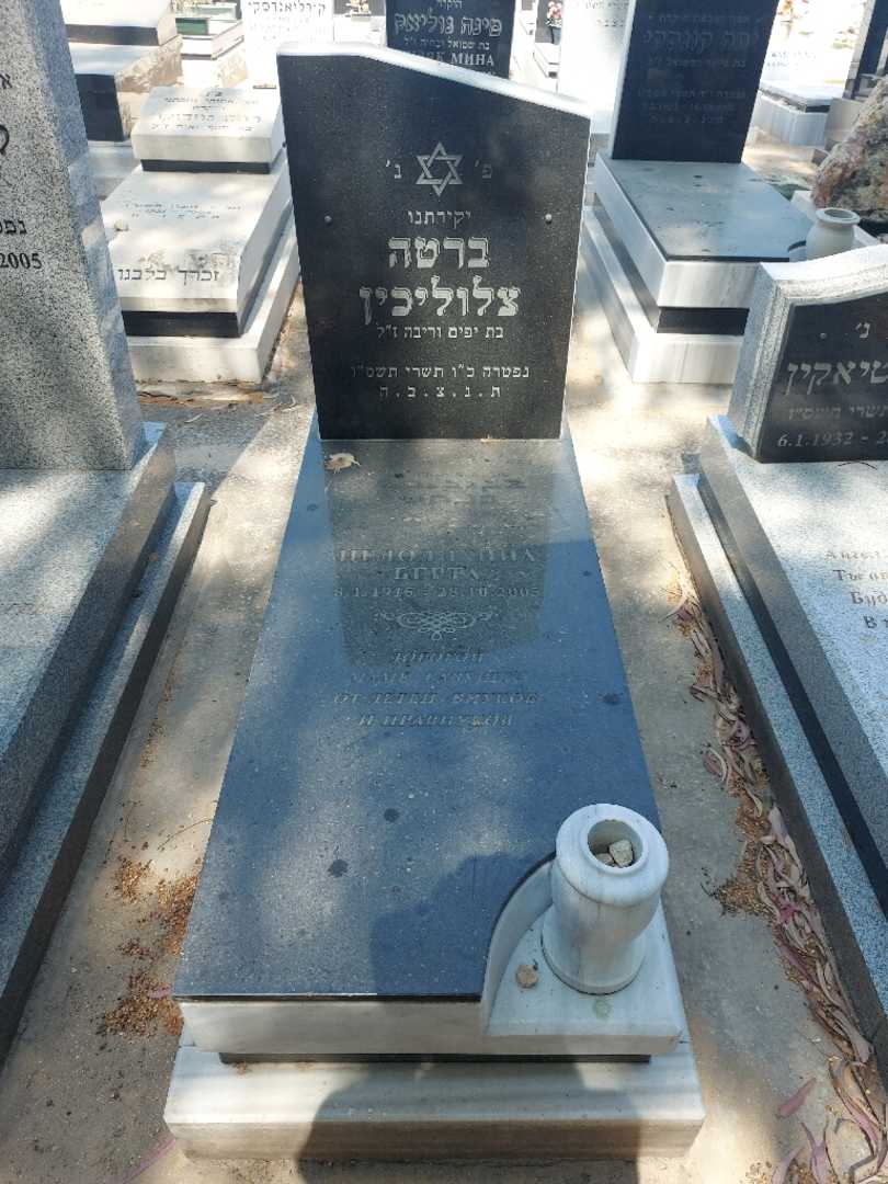 קברו של ברטה צלולכין. תמונה 2