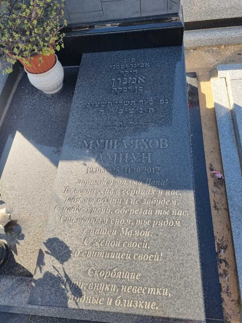 קברו של אמנון מושיאחוב. תמונה 2