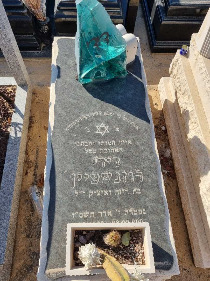 קברו של דידי רוזנשטיין. תמונה 2