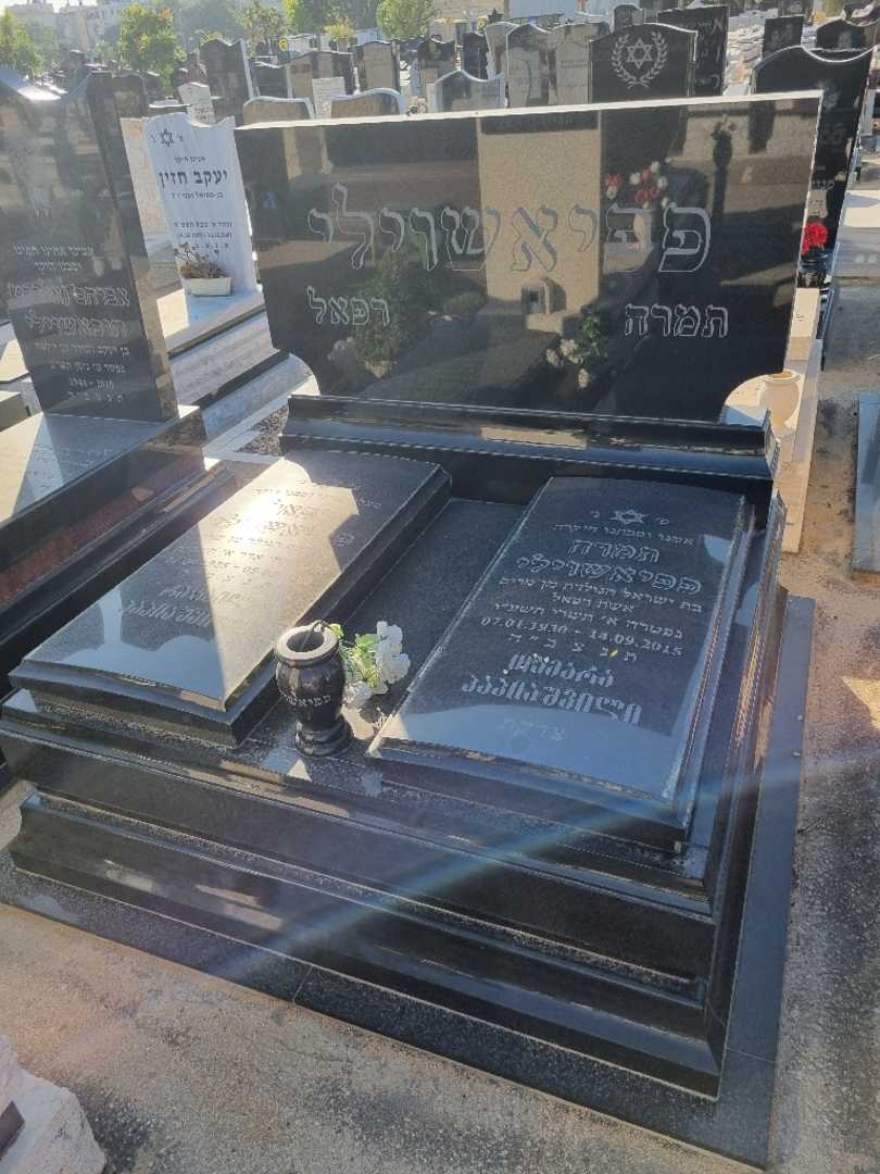 קברו של תמרה פפיאשוילי. תמונה 1