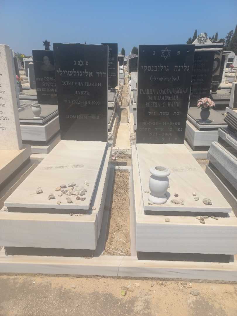קברו של דוד אליגולשוילי. תמונה 1