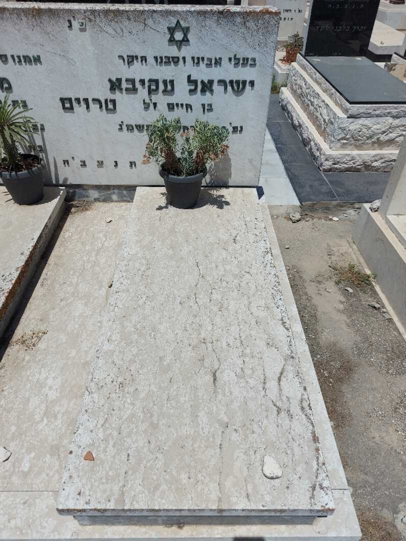 קברו של ישראל עקיבא טרוים. תמונה 2
