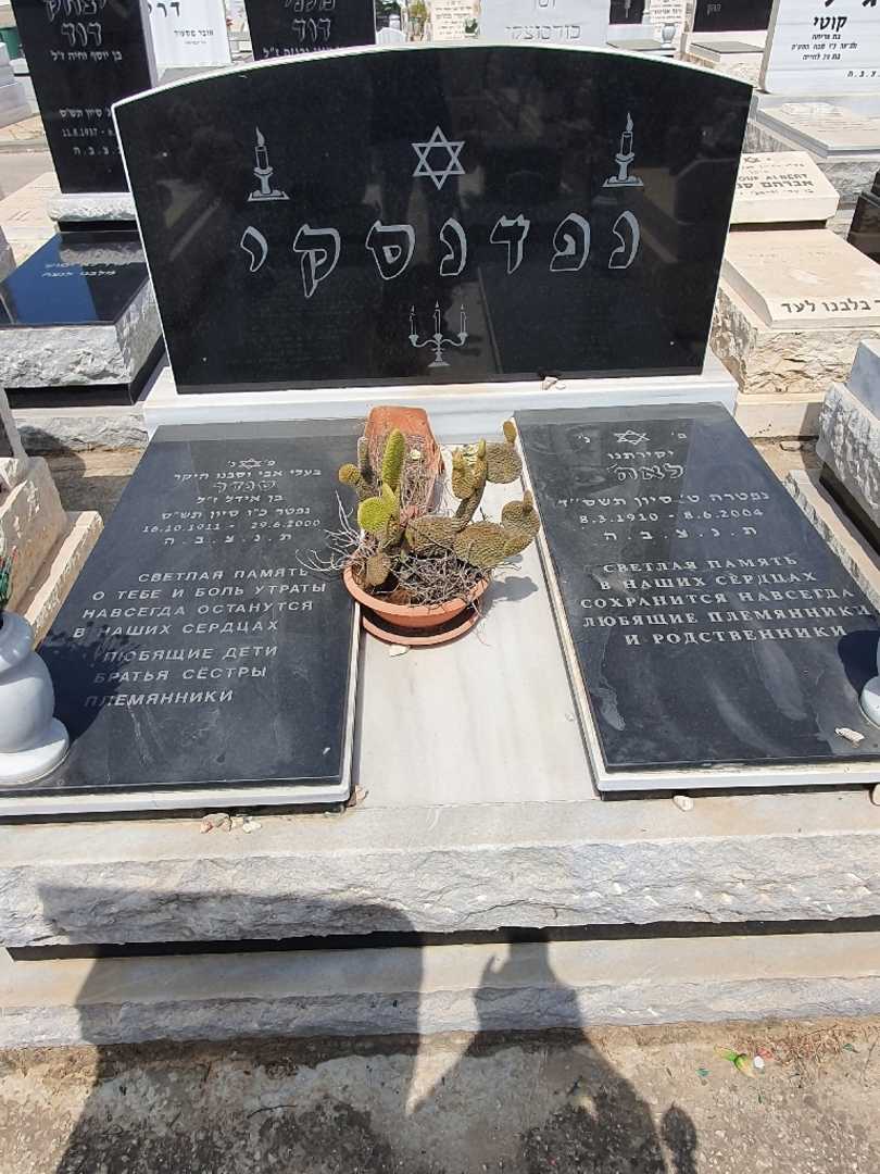 קברו של סנדר נפדנסקי. תמונה 1