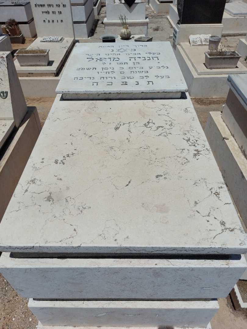 קברו של חנניה מויאל. תמונה 1