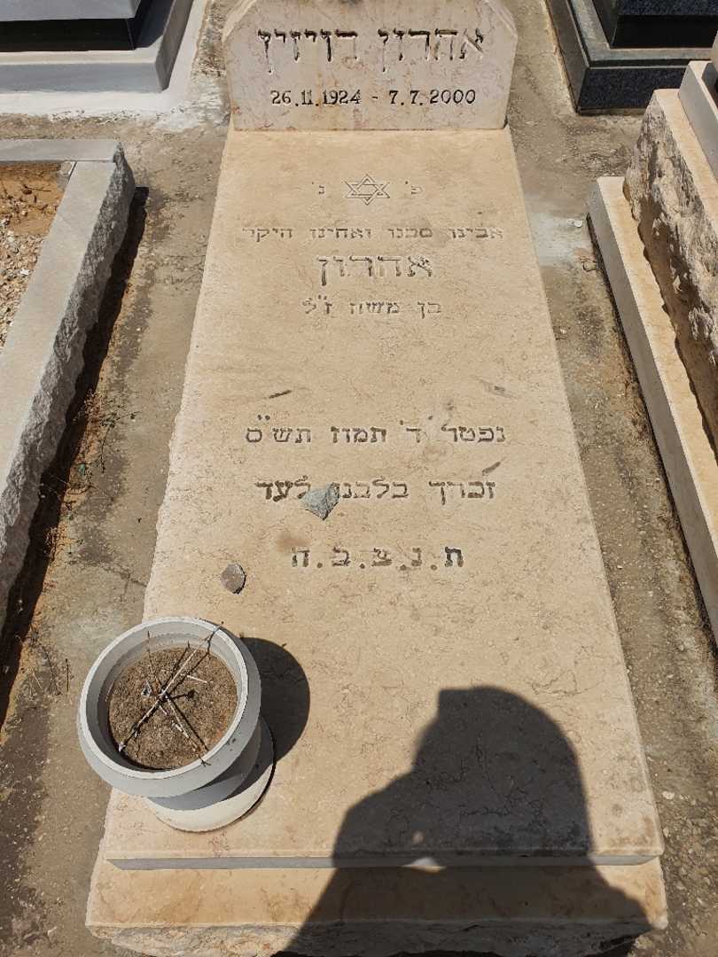 קברו של אהרון דויזין