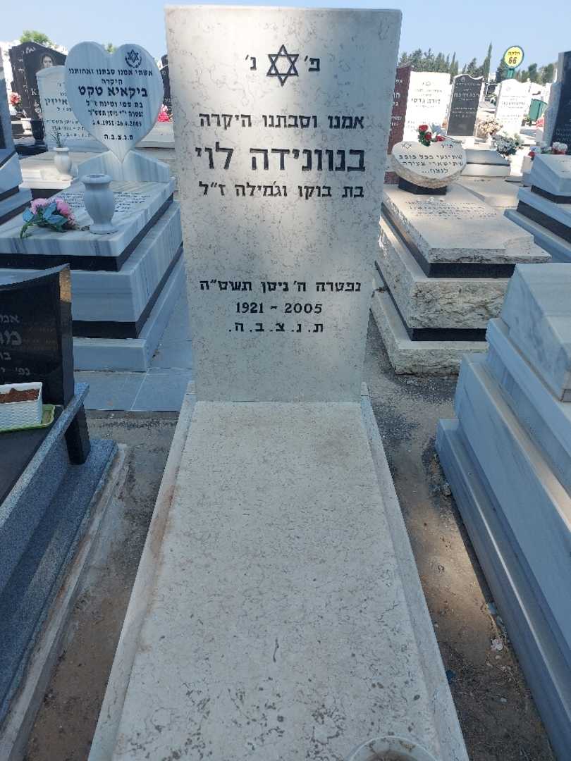 קברו של בנונידה לוי. תמונה 1