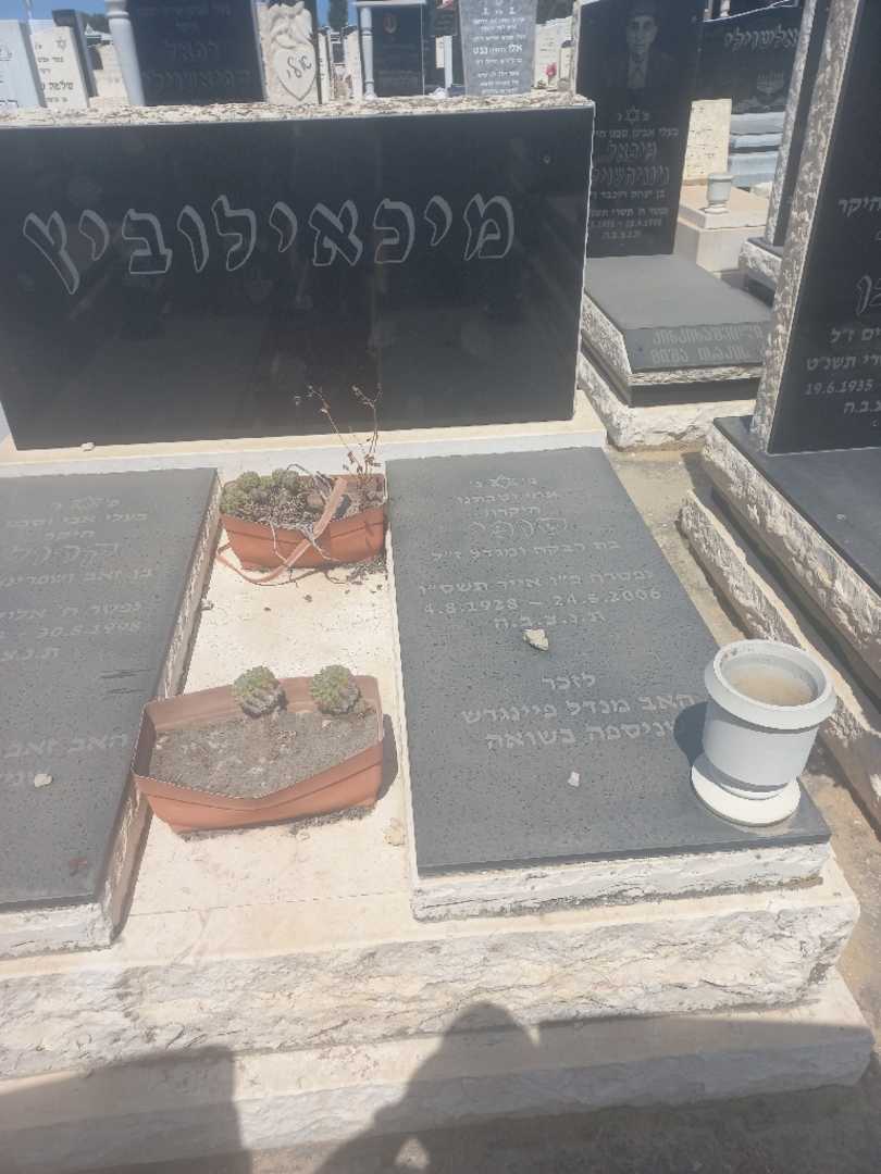 קברו של סופיה מיכאילוביץ. תמונה 2
