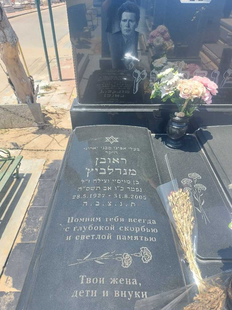 קברו של רובין מנדלביץ'. תמונה 2