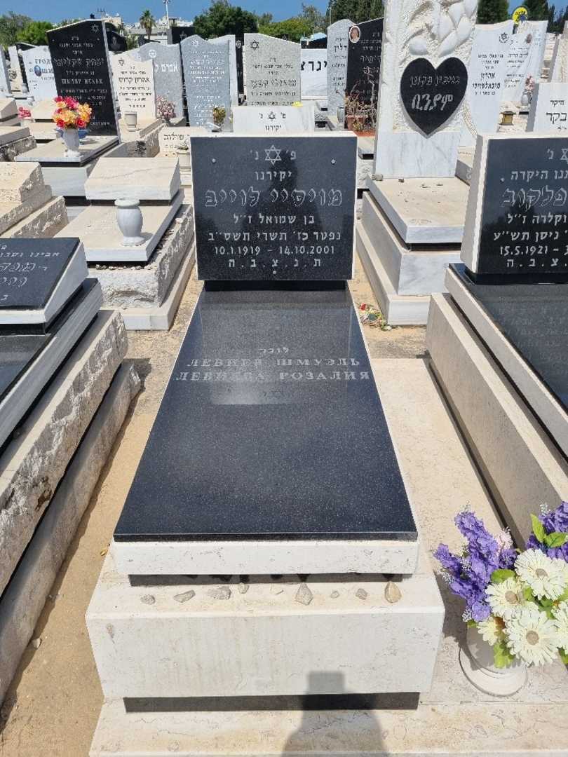 קברו של מויסיי לוייב. תמונה 1