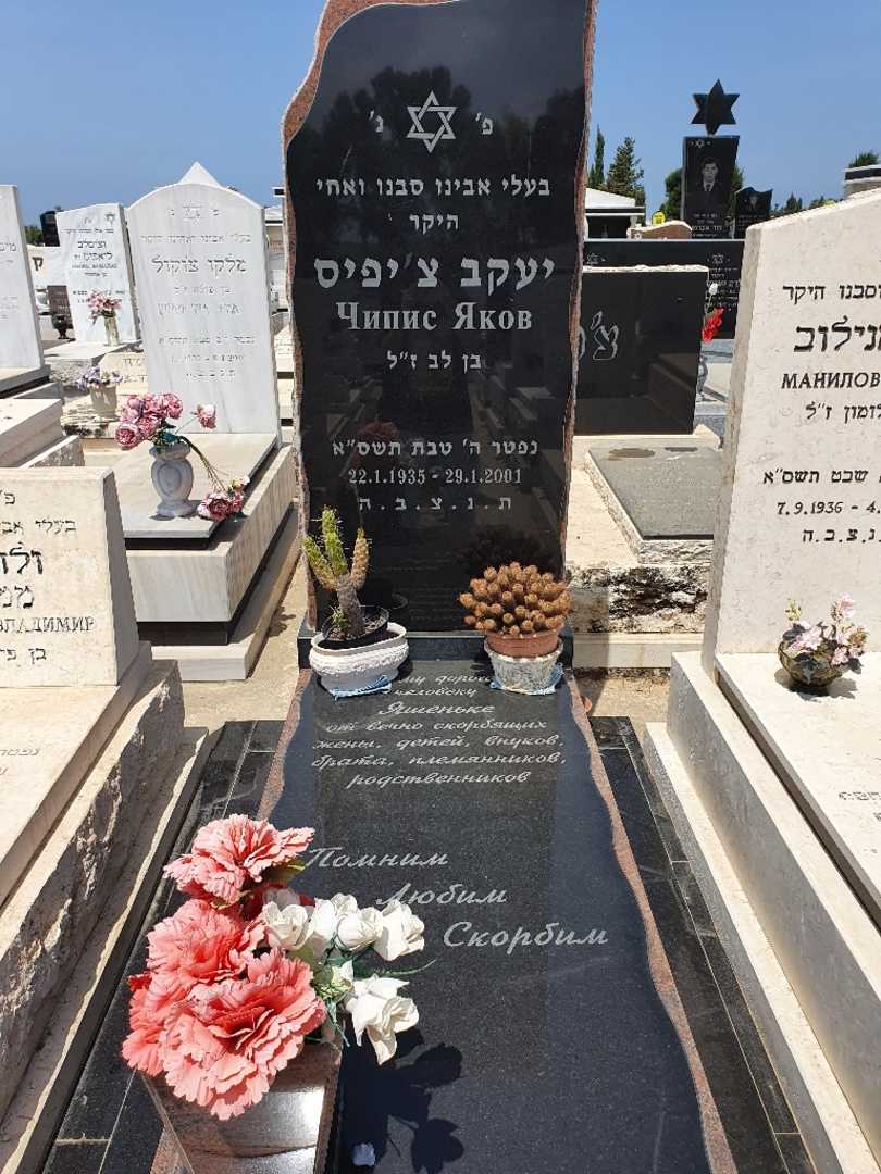 קברו של יעקב ציפיס. תמונה 2