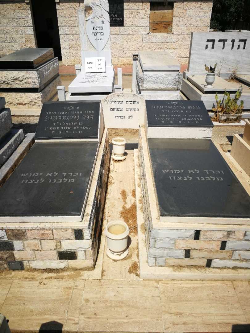 קברו של דוד ויינטראוב. תמונה 1