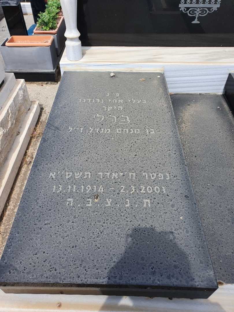 קברו של ברל צייטקין. תמונה 4