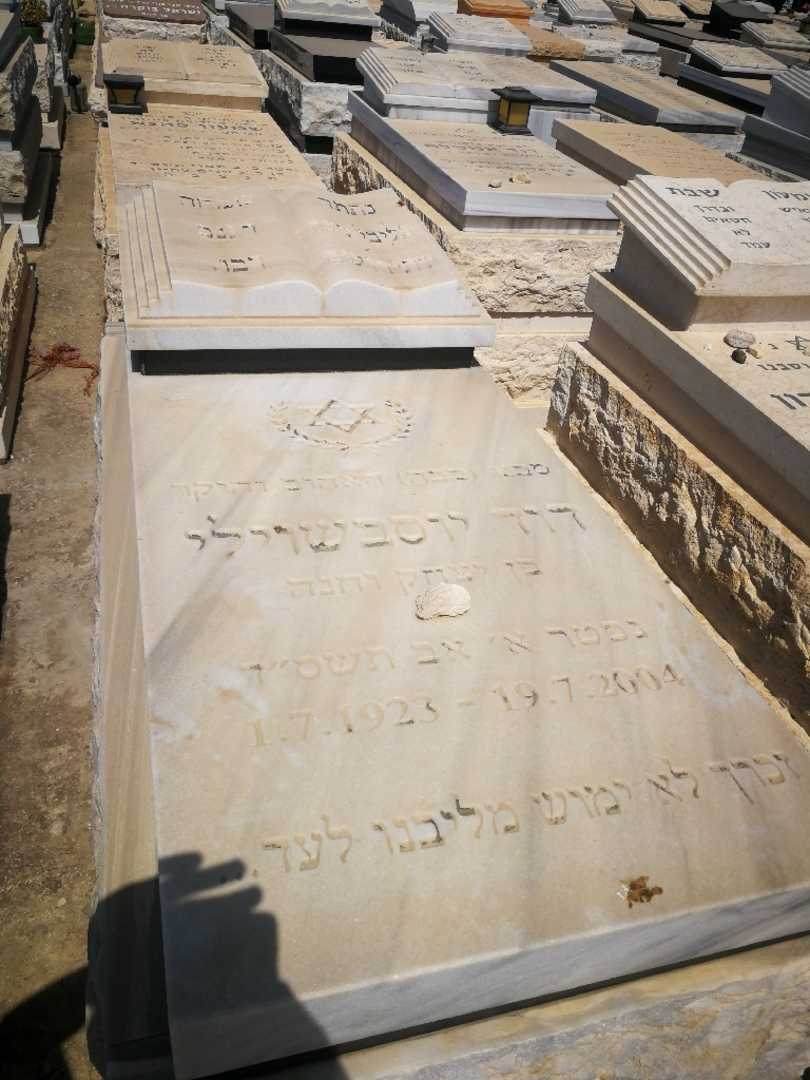 קברו של דוד יוסבשוילי. תמונה 2