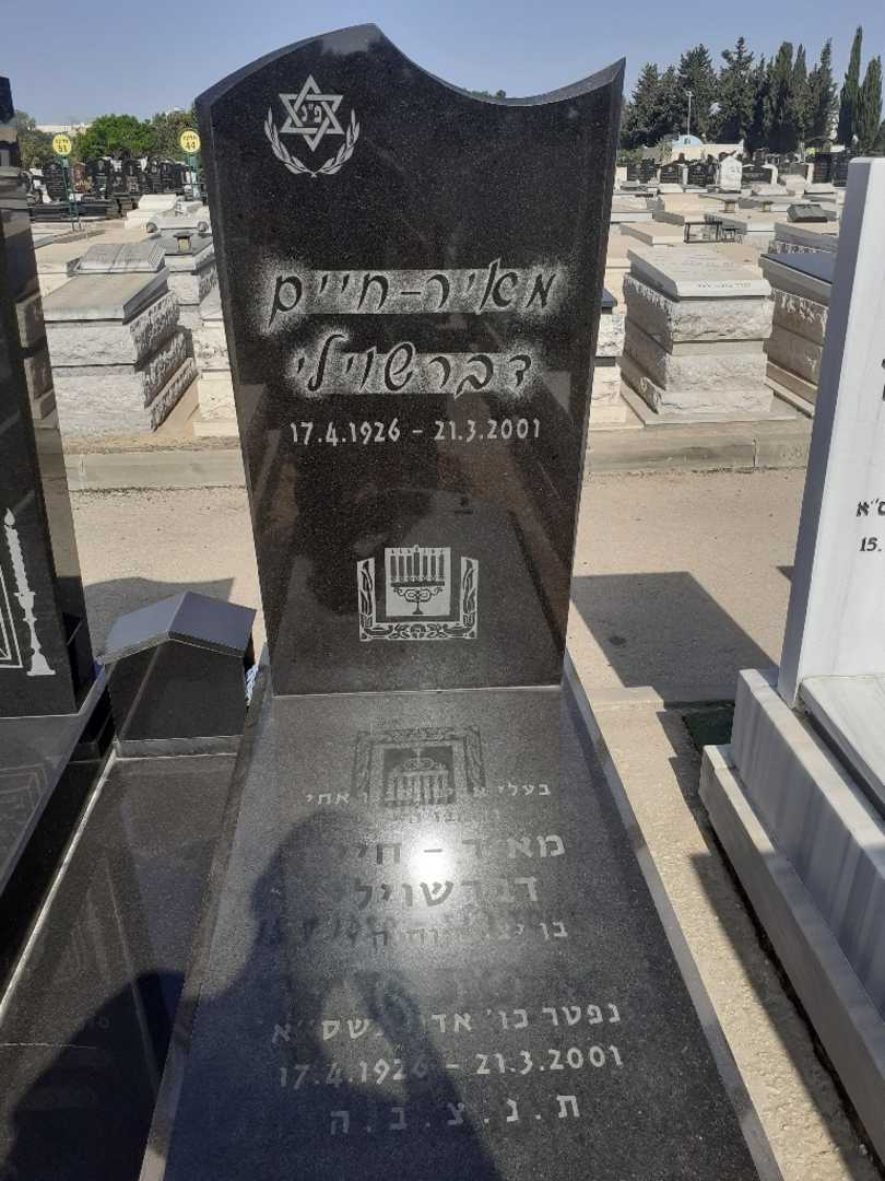 קברו של מאיר חיים דבראשוילי. תמונה 2