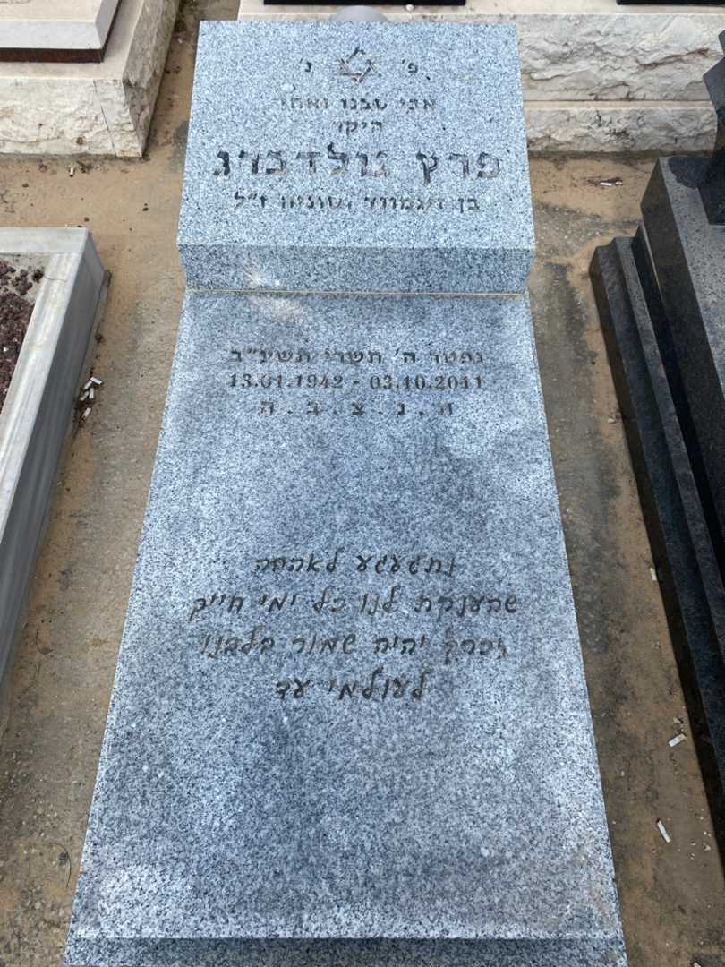 קברו של פרץ גולדברג. תמונה 3