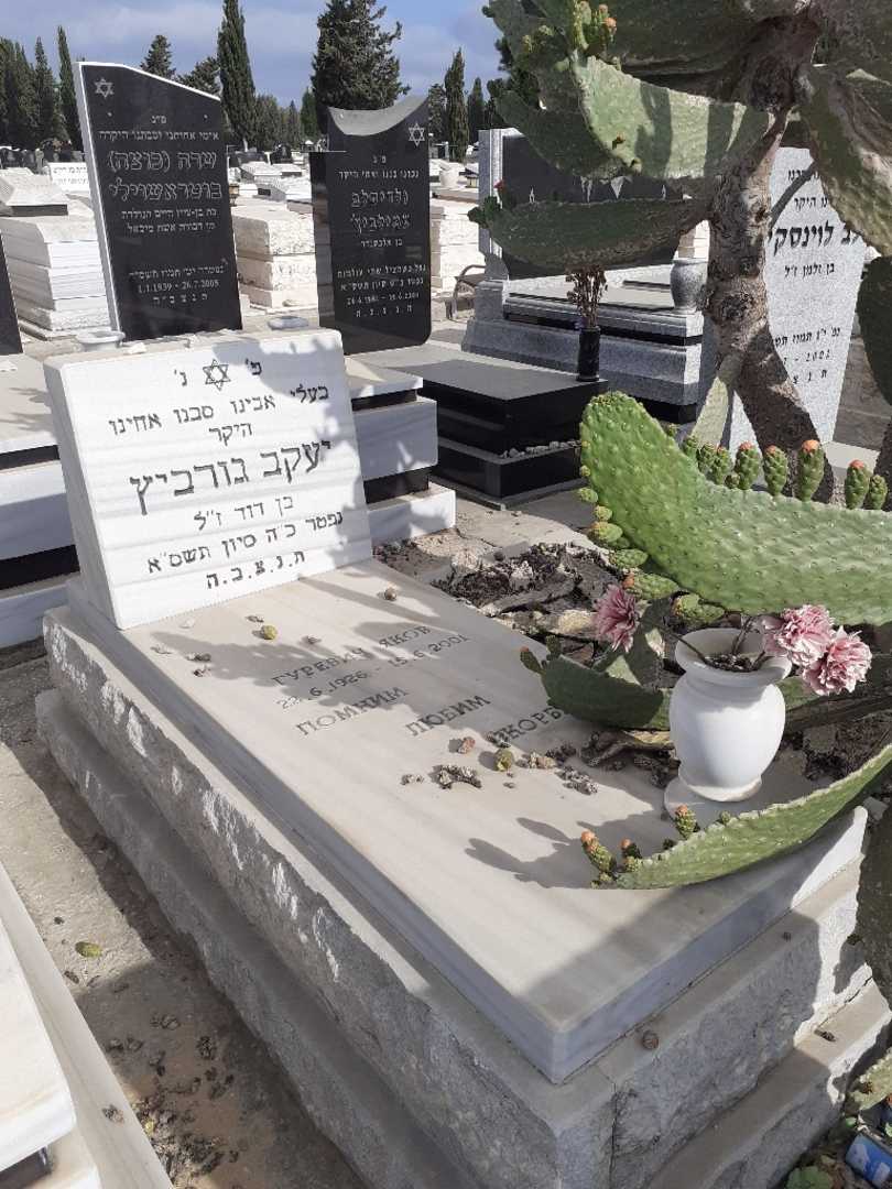 קברו של יעקב גורביץ. תמונה 2