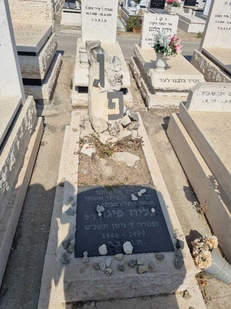 קברו של גליה פיגון. תמונה 1