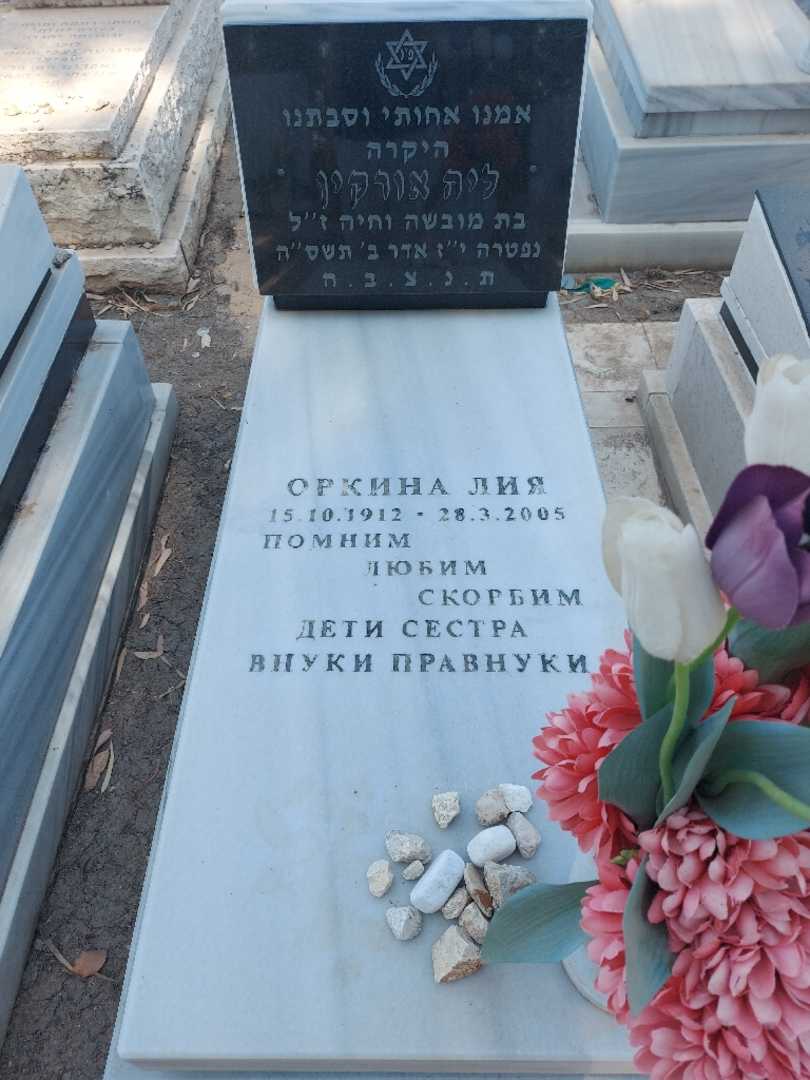 קברו של ליה אורקין. תמונה 1