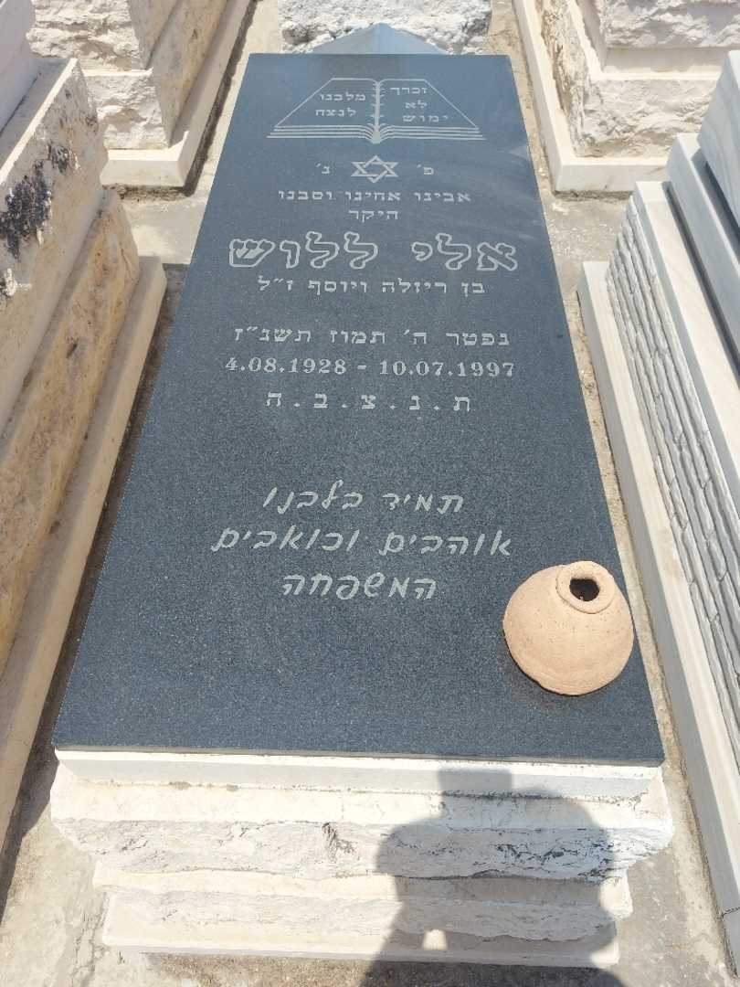 קברו של אלי ללוש. תמונה 2