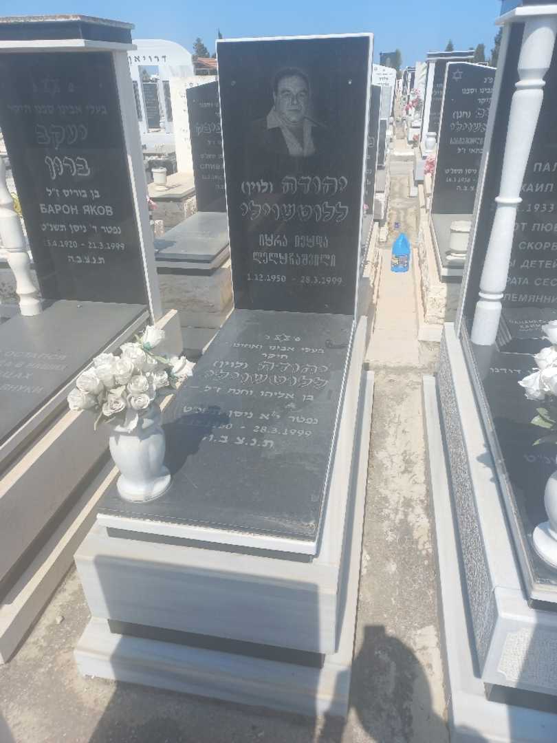 קברו של יהודה "לוין" לוין. תמונה 2