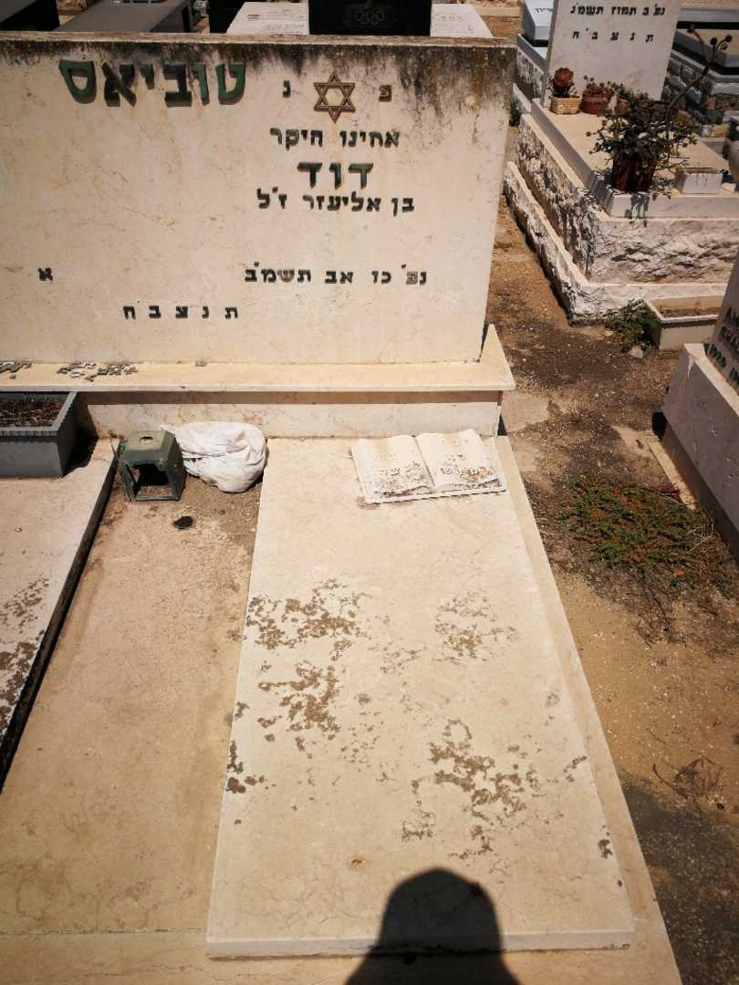 קברו של דוד טוביאס. תמונה 2