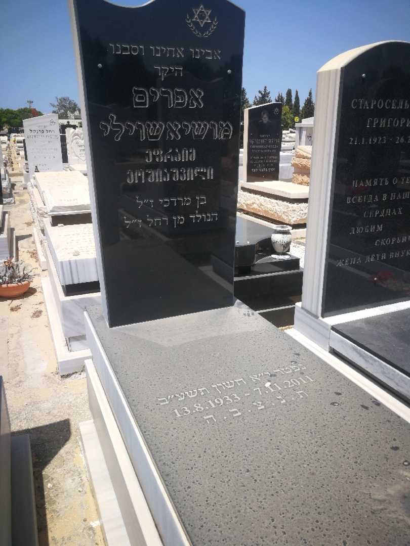 קברו של אפרים מושיאשוילי. תמונה 2