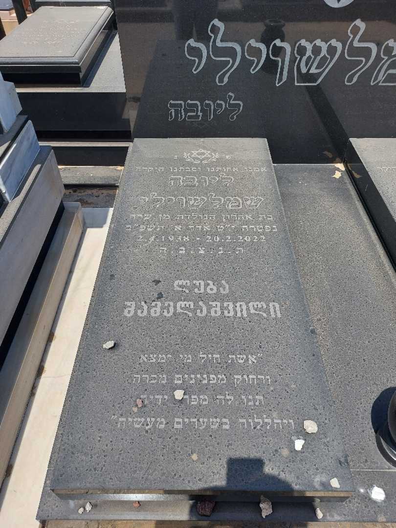 קברו של ליובה שמלשוילי. תמונה 2