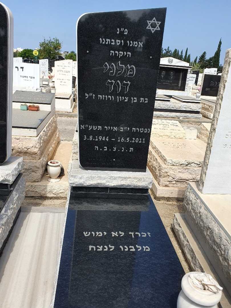 קברו של מלני דוד. תמונה 1
