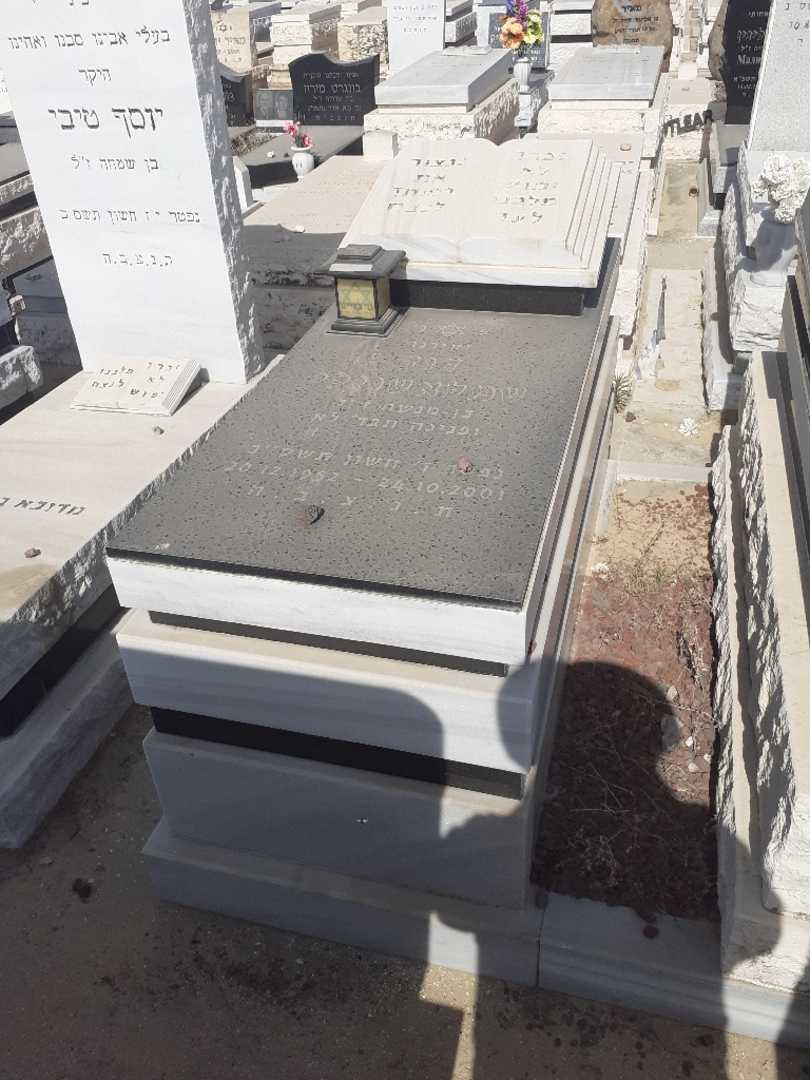 קברו של דוד שמלאשוילי. תמונה 1