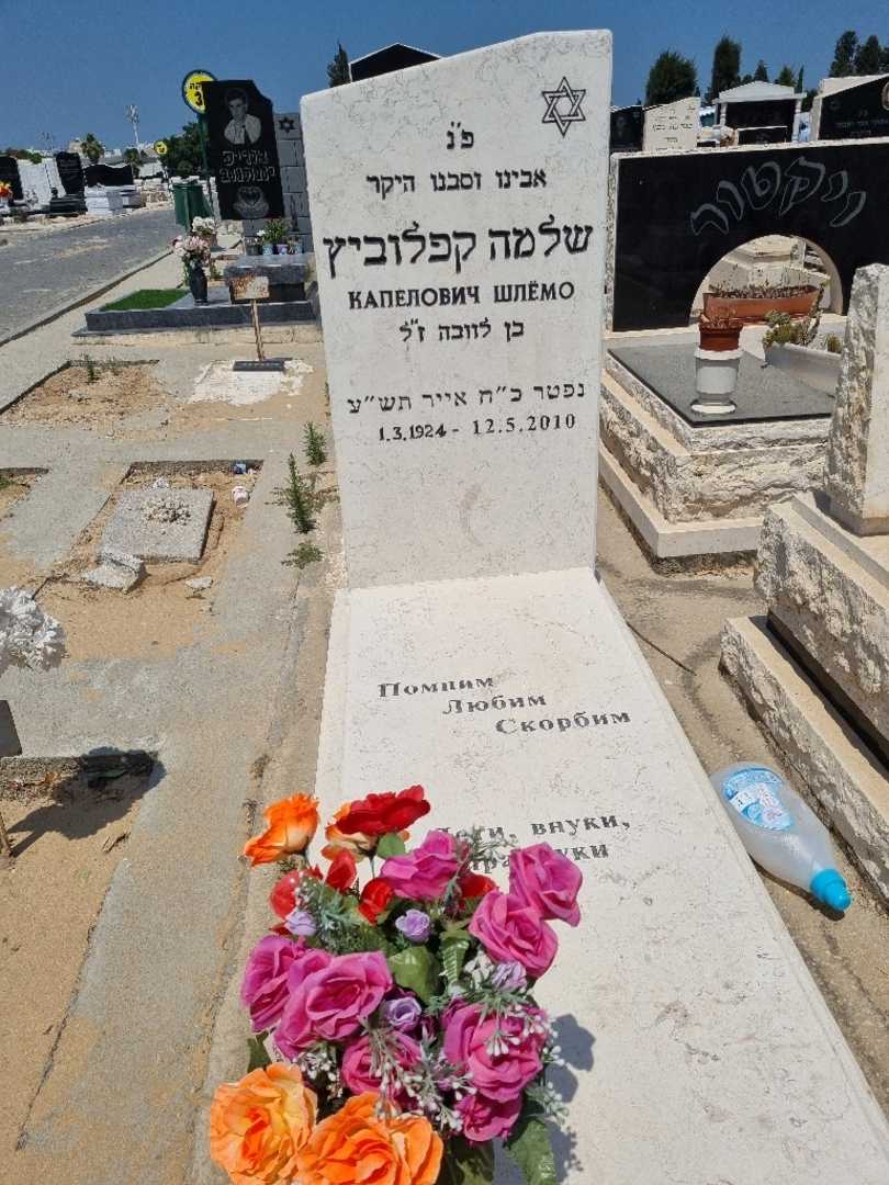 קברו של שלמה קפלוביץ. תמונה 1