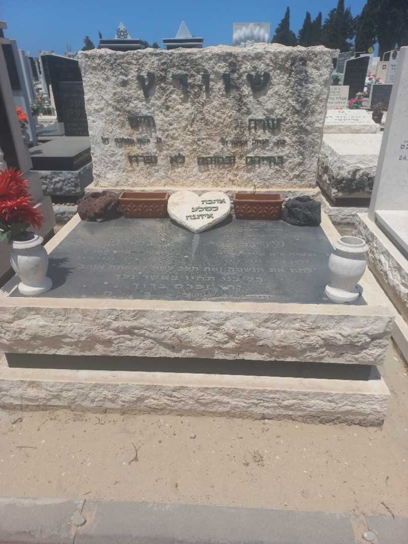 קברו של שרה שוורץ. תמונה 1