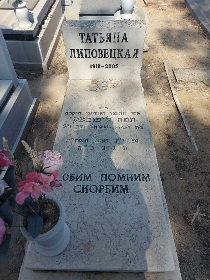 קברו של תמה ליפובצקי. תמונה 2