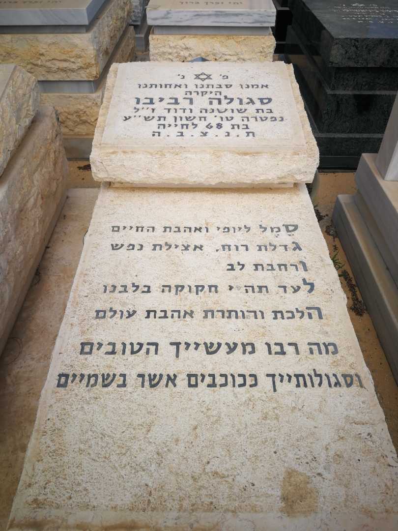 קברו של סגולה רביבו. תמונה 2