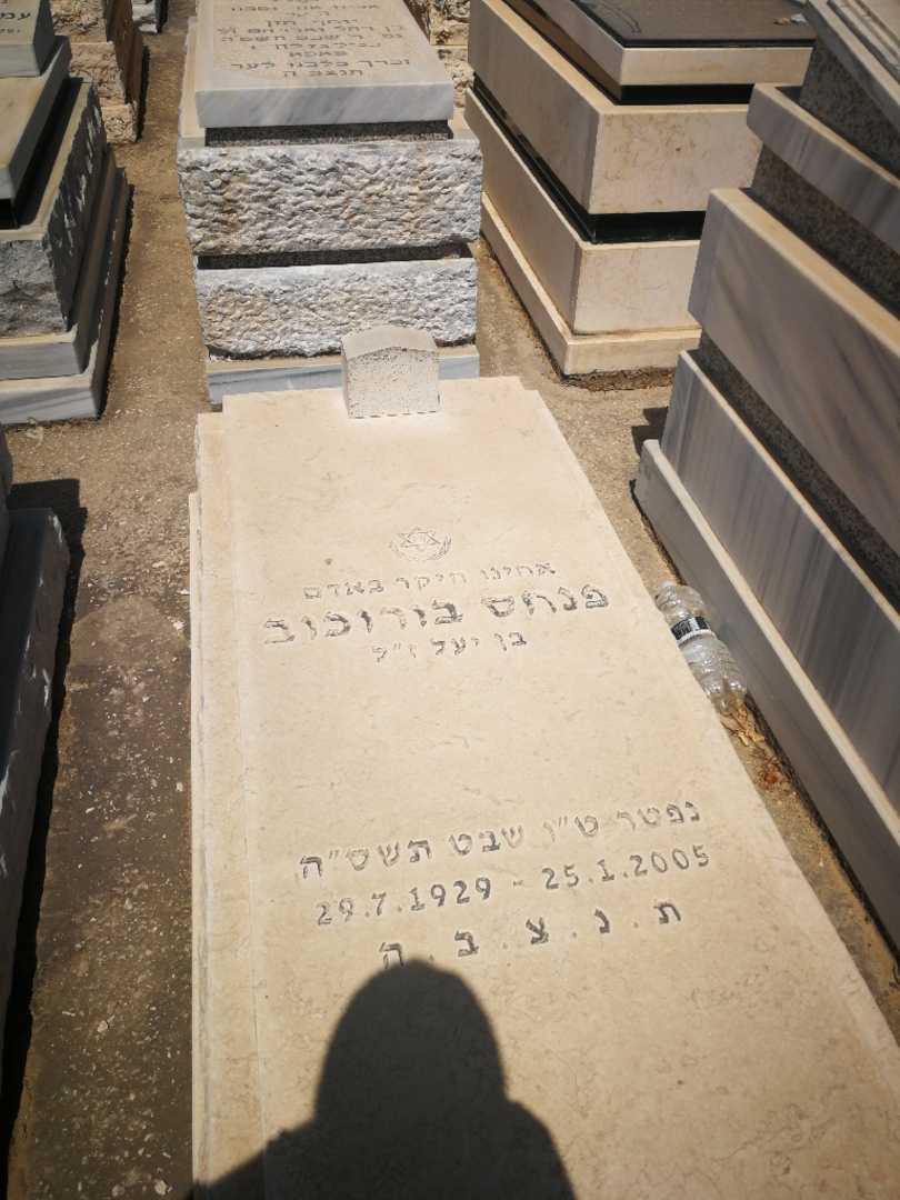 קברו של פנחס בורוכוב. תמונה 1