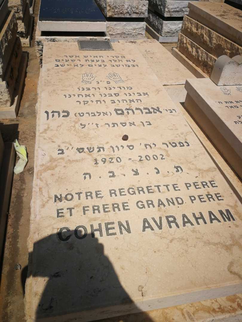 קברו של אברהם "אלברט" כהן. תמונה 1