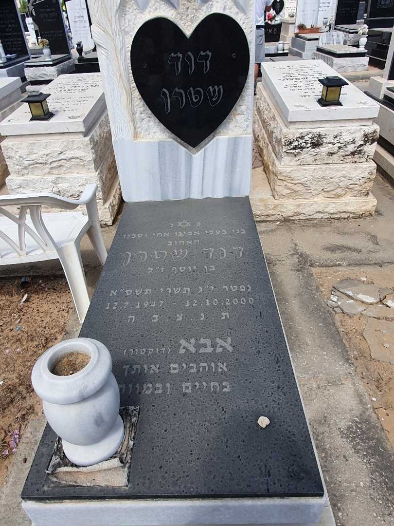 קברו של דוד שטרן. תמונה 2