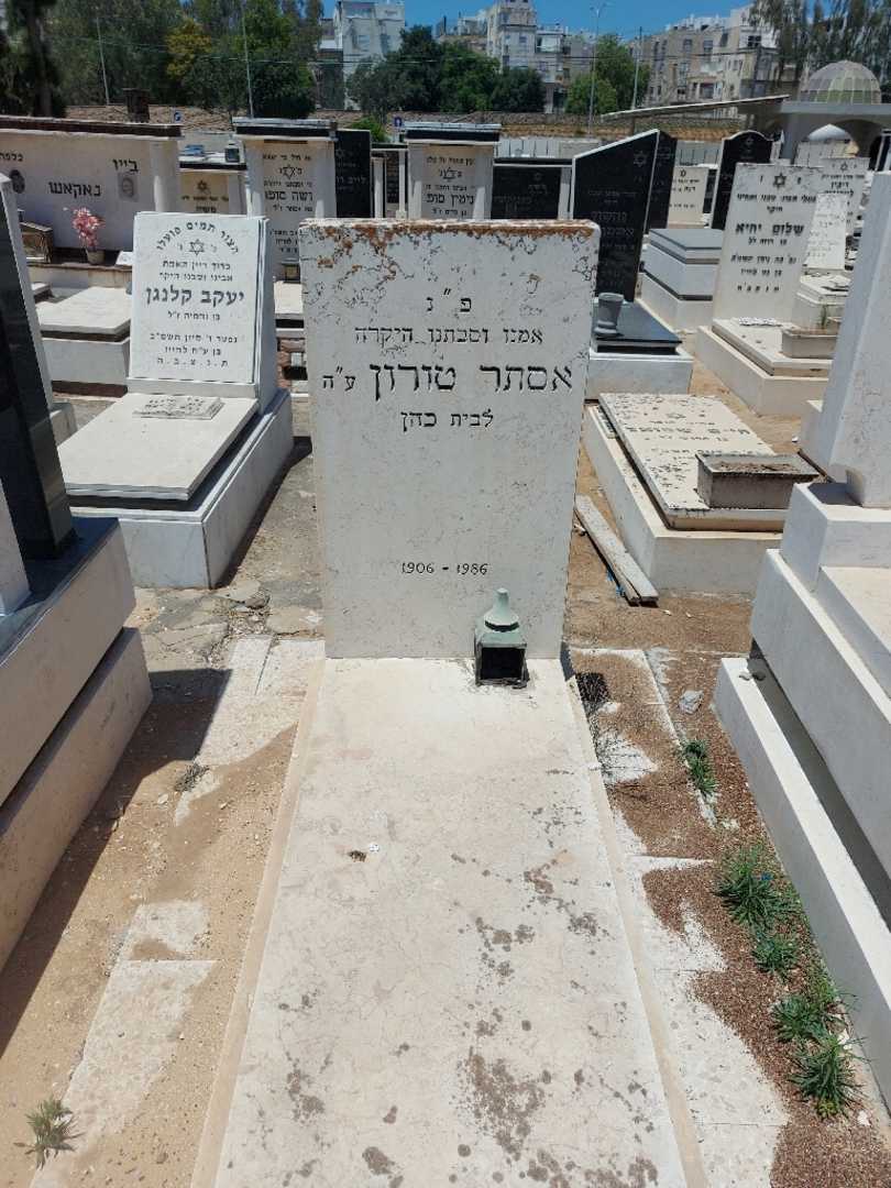 קברו של אסתר טורין. תמונה 2