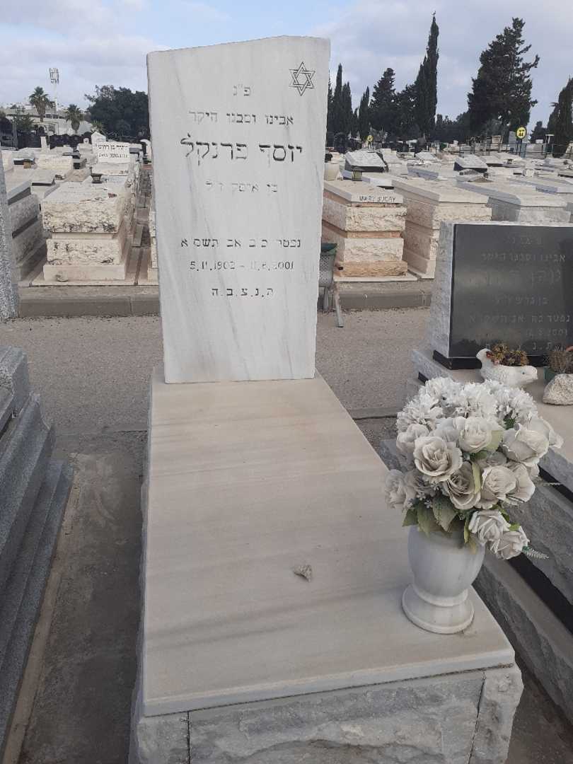 קברו של יוסף פרנקל. תמונה 1