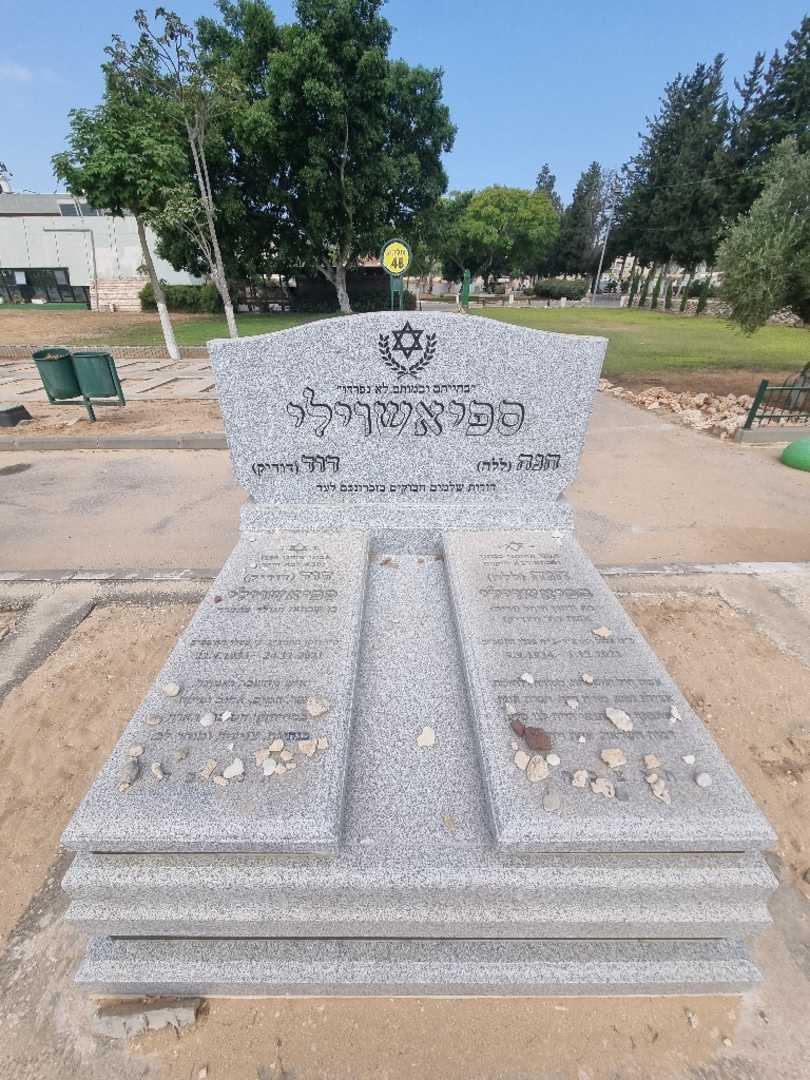 קברו של דוד "דודיק" ספיאשווילי. תמונה 2