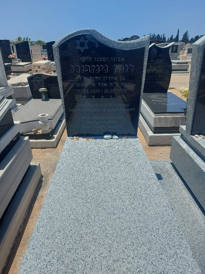 קברו של רומן גינזבורג. תמונה 2